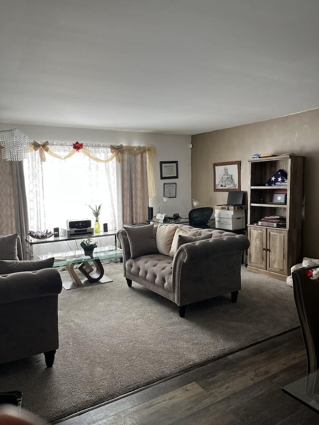 living room featuring wood finished floors