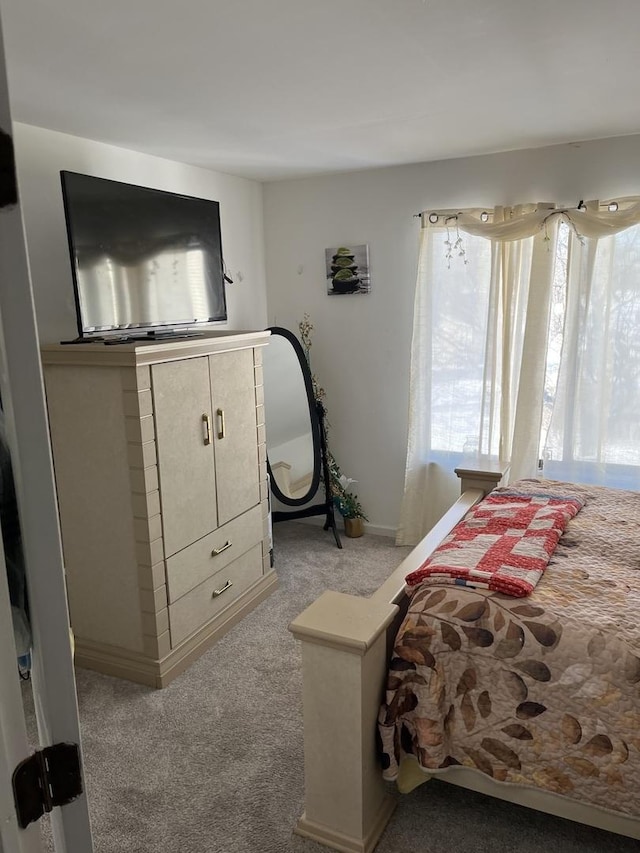 bedroom with carpet and multiple windows