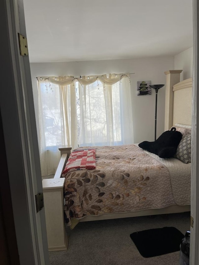 bedroom featuring carpet flooring