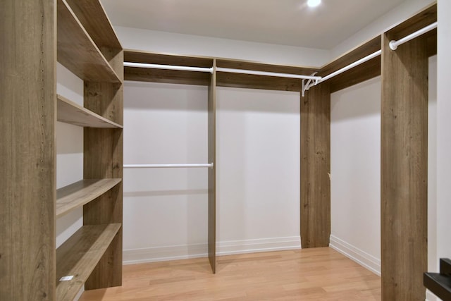 spacious closet featuring light wood-style floors