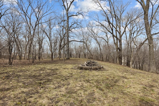 view of yard with a fire pit