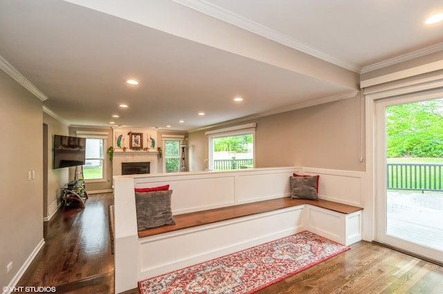 interior space featuring a fireplace, crown molding, and wood finished floors