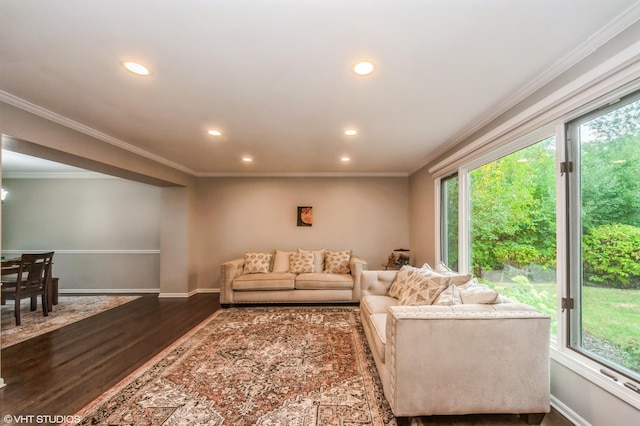 living area featuring ornamental molding, wood finished floors, a wealth of natural light, and recessed lighting