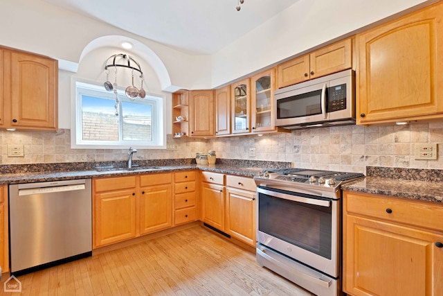 kitchen featuring light wood finished floors, appliances with stainless steel finishes, decorative backsplash, and a sink