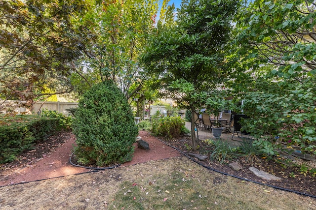 view of yard featuring a patio area and fence