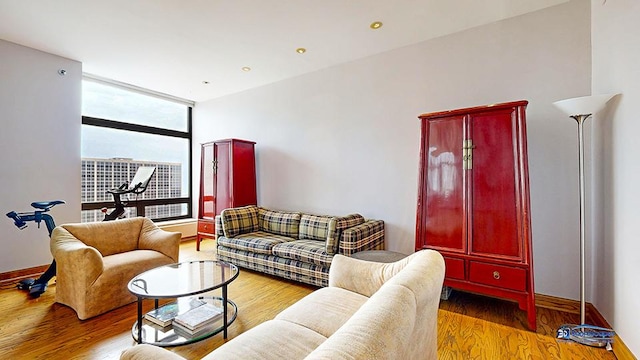 living area featuring wood finished floors and baseboards