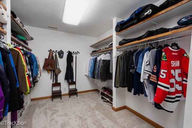 walk in closet featuring carpet