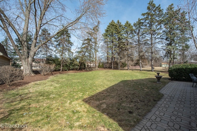 view of yard with a patio