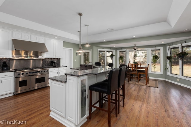 kitchen with ventilation hood, double oven range, a raised ceiling, and white cabinets