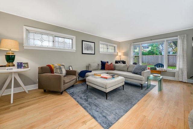 living room with baseboards and wood finished floors