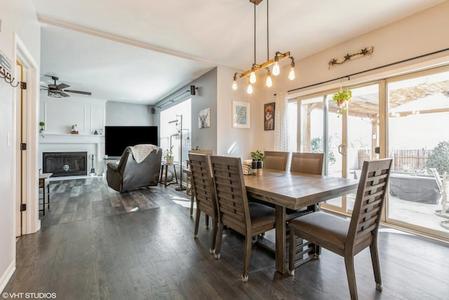 dining area with a fireplace, dark wood-type flooring, and a ceiling fan