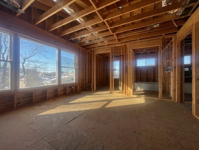 miscellaneous room featuring a healthy amount of sunlight