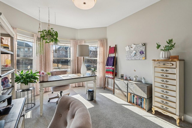 office featuring baseboards and carpet floors