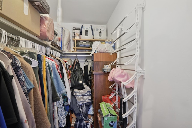 view of walk in closet