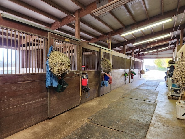 view of horse barn