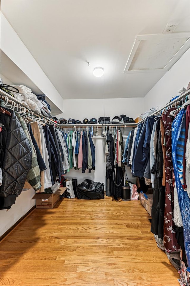 walk in closet with attic access and wood finished floors