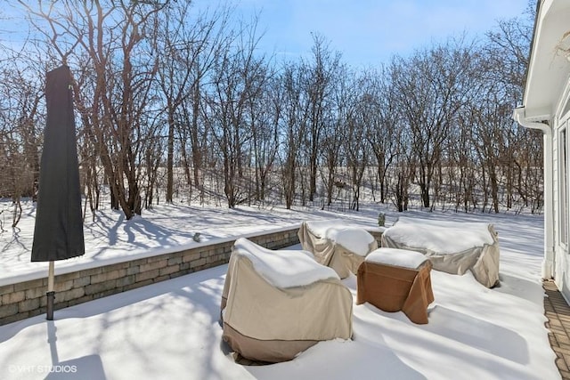 view of yard layered in snow