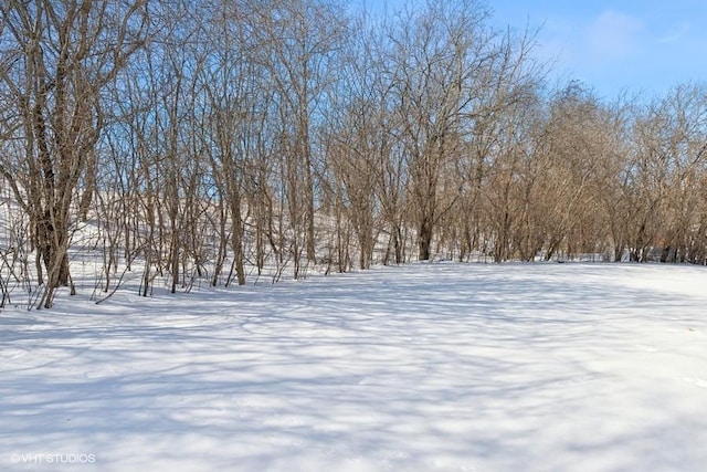 view of yard layered in snow