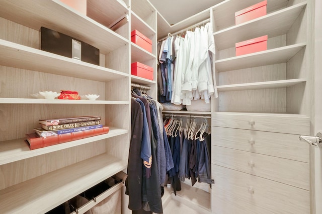 view of spacious closet