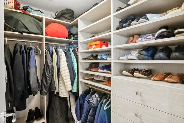 view of walk in closet