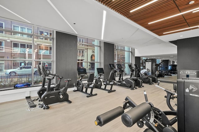 exercise room featuring wood finished floors