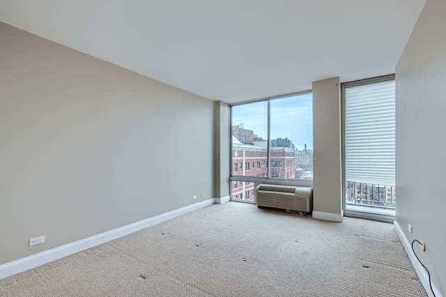 empty room featuring expansive windows, a city view, carpet flooring, and baseboards