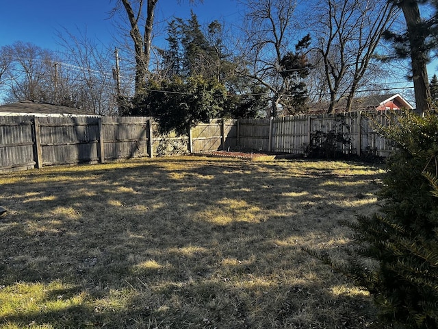 view of yard with a fenced backyard