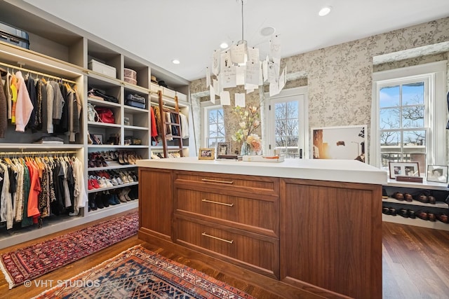 spacious closet featuring dark wood-type flooring