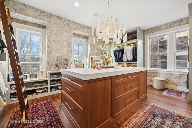 walk in closet featuring dark wood finished floors