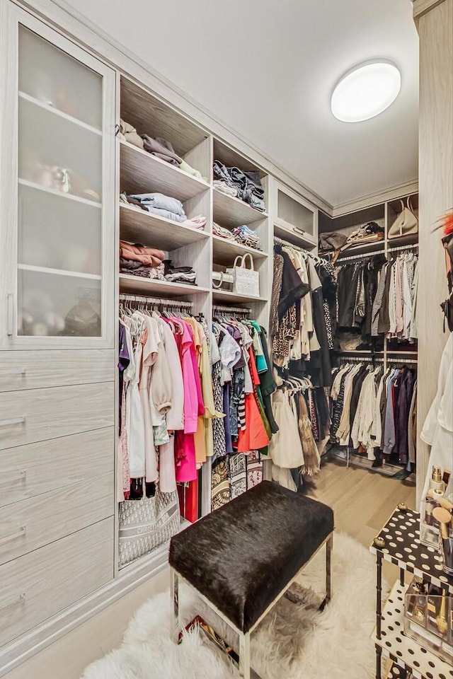 walk in closet featuring wood finished floors