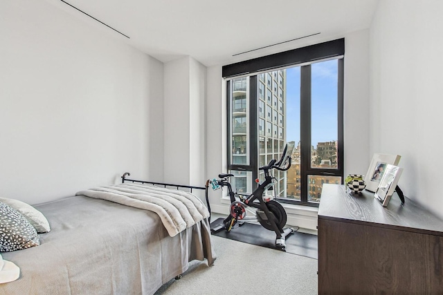 bedroom featuring a city view