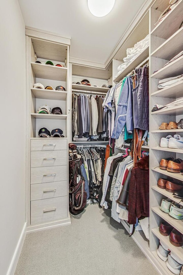 spacious closet featuring carpet flooring