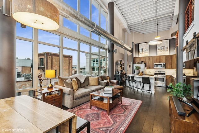 living area featuring a high ceiling, dark wood finished floors, and a wealth of natural light