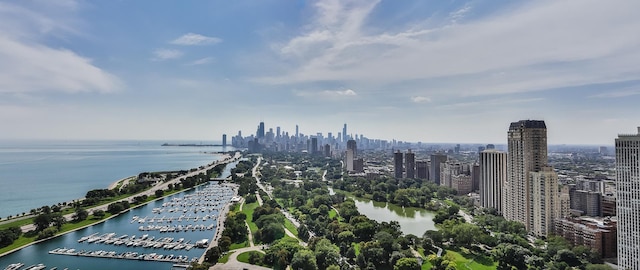 aerial view featuring a city view and a water view