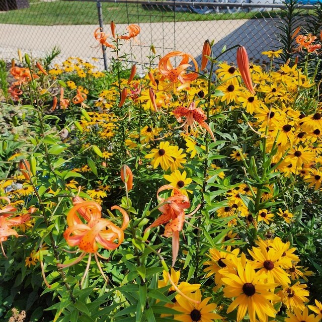 4128 N Plainfield Ave, Chicago, IL 60634 - view of outbuilding