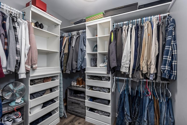 walk in closet featuring wood finished floors