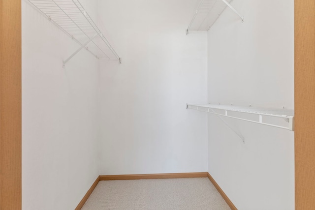 walk in closet featuring light colored carpet