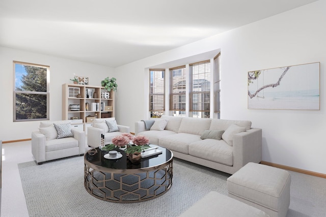 living room with baseboards and carpet floors