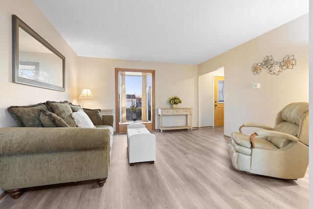 living room with light wood-type flooring