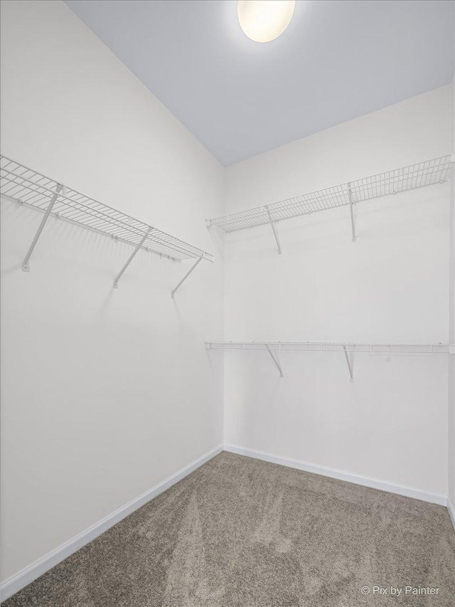 walk in closet with carpet