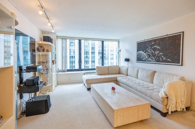 carpeted living room featuring rail lighting