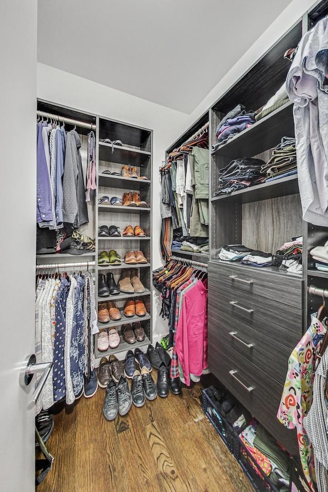 spacious closet featuring wood finished floors