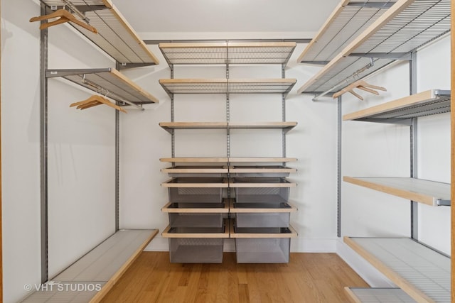 spacious closet featuring wood finished floors