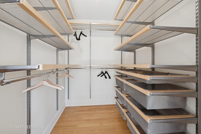 spacious closet featuring light wood-type flooring