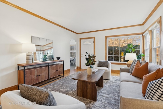 living area featuring crown molding, wood finished floors, and a healthy amount of sunlight