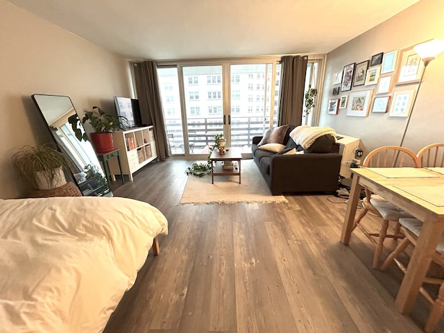 living area featuring expansive windows and dark wood finished floors