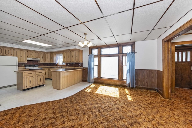 619 Lincoln St, Minonk, IL 61760 - kitchen with a wainscoted wall, an inviting chandelier, freestanding refrigerator, under cabinet range hood, and range with electric stovetop