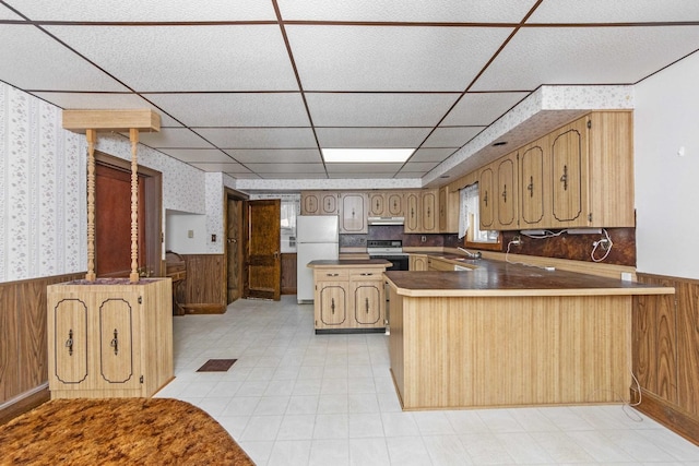 619 Lincoln St, Minonk, IL 61760 - kitchen with a wainscoted wall, wallpapered walls, a peninsula, freestanding refrigerator, and range with electric cooktop