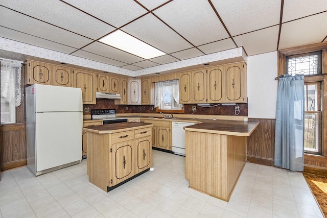 619 Lincoln St, Minonk, IL 61760 - kitchen featuring a wainscoted wall, under cabinet range hood, white appliances, a peninsula, and light floors