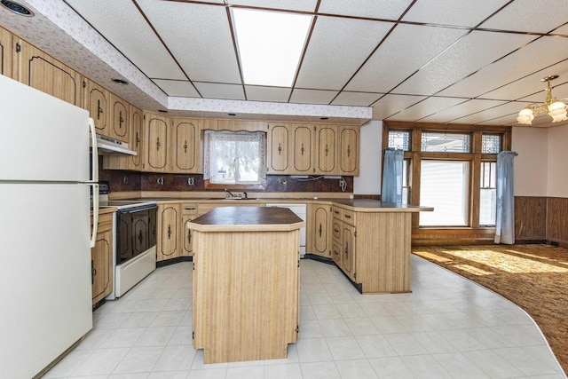 619 Lincoln St, Minonk, IL 61760 - kitchen with under cabinet range hood, a wainscoted wall, a peninsula, white appliances, and a sink